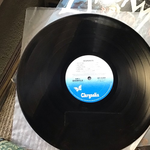 DIVINYLS DESPERATE 1982 LP OOP CHRYSALIS PRINT VINTAGE VINYL 10TRX - Picture 5 of 13