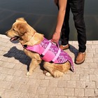 Foto 11 di 21