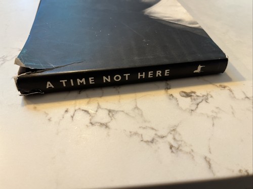A Time Not Here The Mississippi Delta, Photographs by Norman Mauskopf HC DJ 1996 - Bild 3 von 10