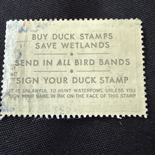 US Federal Duck Stamps Collection Scott#RW37 $3.  Gum Off Edge Of Back - Picture 2 of 2