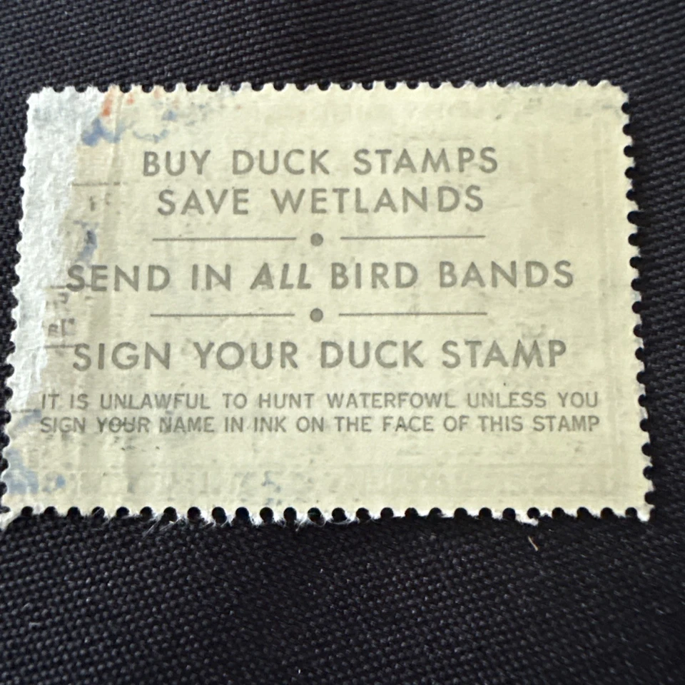US Federal Duck Stamps Collection Scott#RW37 $3.  Gum Off Edge Of Back - Image 2 of 2