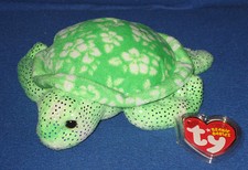 TY SUNRISE the TURTLE  BEANIE BABY with MINT TAGS
