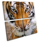 Tiger Face Animals MULTI CANVAS WALL ART Picture Print VA