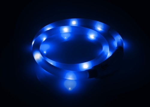 PRECORN LED Silikon Hunde Leuchthalsband aufladbar per USB-C indiv. kürzbar blau - Bild 4 von 6