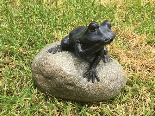 Garden Pond Fountain Frog spitting water Solar Powered pump Swimming pool - Picture 4 of 4