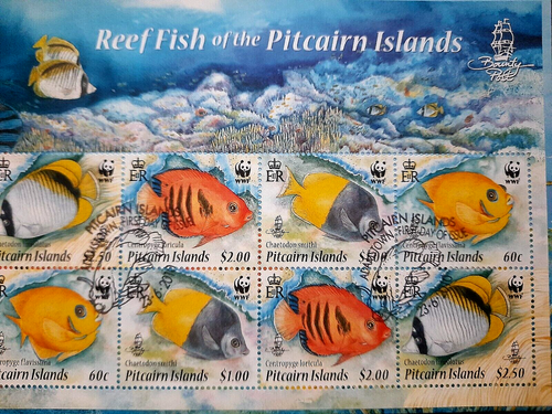 Pitcairn Islands - "REEF FISH OF PITCAIRN ~ WWF" MS FDC 2010 - Picture 5 of 11