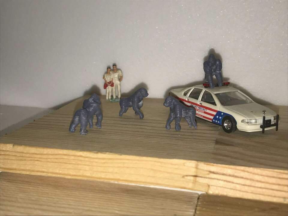 Foto 2 di 8