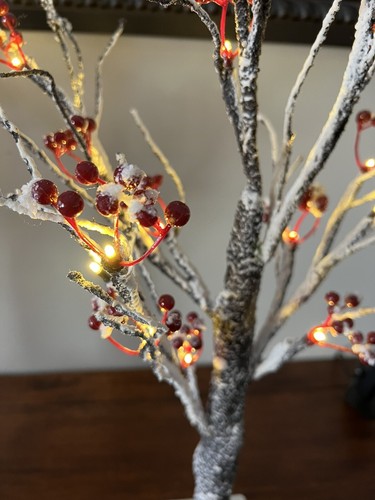 Everlasting Glow 24" LED LIGHTED SNOWY RED BERRY TREE With Timer feature - Picture 5 of 9