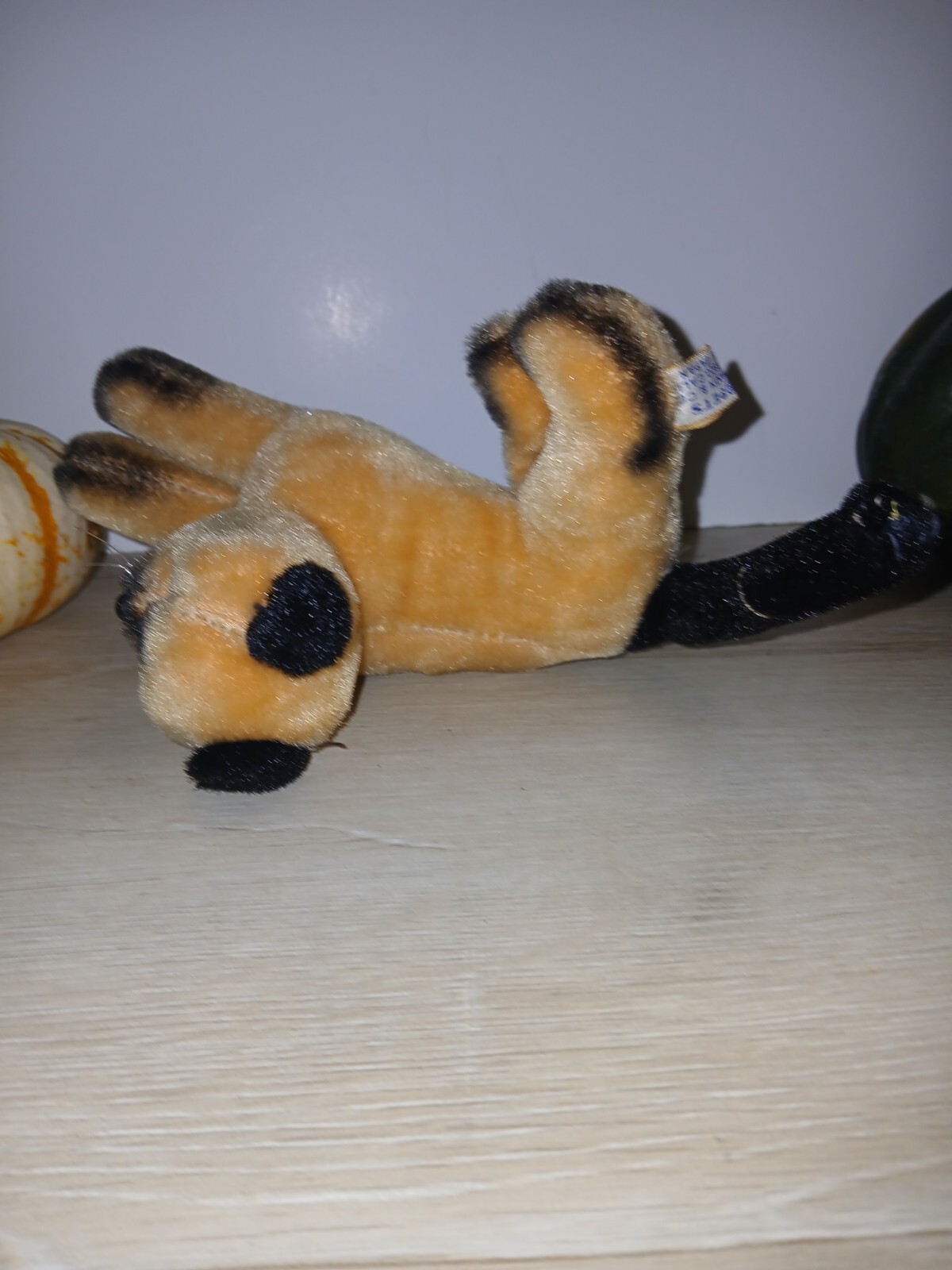 Bild 10 von 12