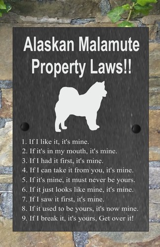 Property Laws Funny Dog Slate Sign Gate House 3 Sizes ALL BREEDS available A-C - Picture 13 of 63