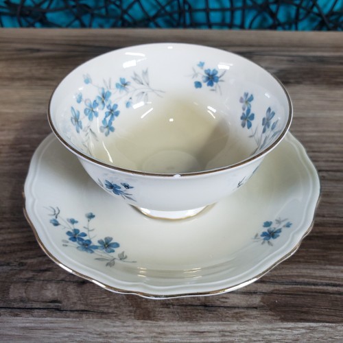 ZEH Scherzer Bavaria DEUTSCHLAND BLAU BLUMENDRUCK GOLDRAND TASSE & UNTERTASSE LESEN CHIP - Bild 3 von 15