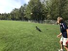 Bild 11 von 12
