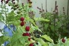 Bild 6 von 6