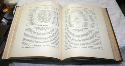 "Memorial Life of William McKinley" Townsend 1901" - Bild 3 von 4