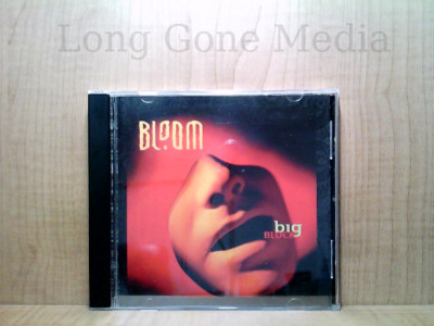 Big Block by Bloom (CD, 1996, ZYX Music) 90204481224| eBay