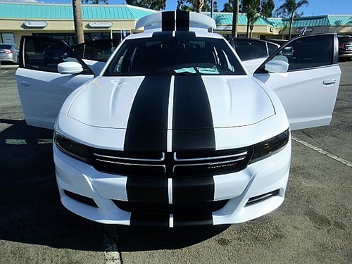 FITS Dodge Charger 15 to 25 Duel Racing Stripe 10" Graphics Vinyl Decal 36 FEET - Picture 3 of 28