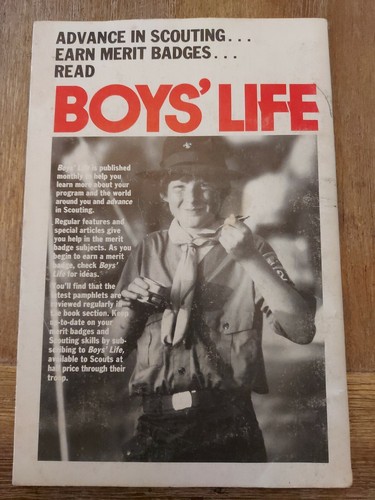 BSA Merit Badge Book: Citizenship in the Nation - 第 2/3 張圖片
