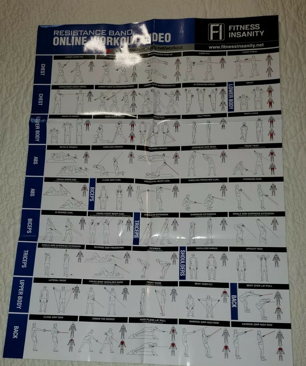 Fitness Insanity Unbreakable Exercise Resistance Bands Set of 5 bands. New