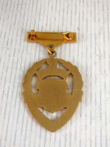 MASONIC JEWEL - 1964 ROYAL MASONIC BENEVOLENT INSTITUTION - Imagen 3 de 3