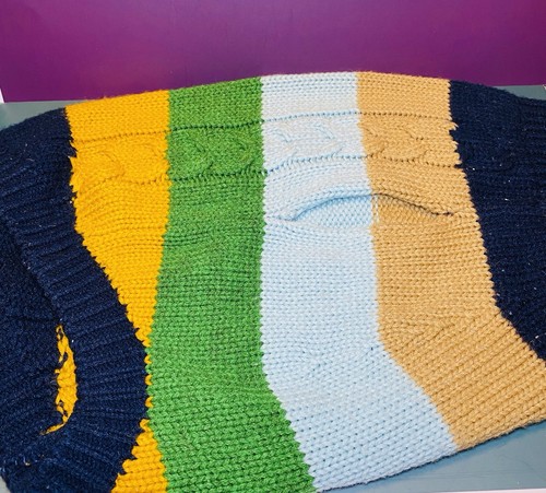 Lot of Assorted Pet Supplies – Clothes, Costumes, Harness, Storage Bin - Picture 5 of 13