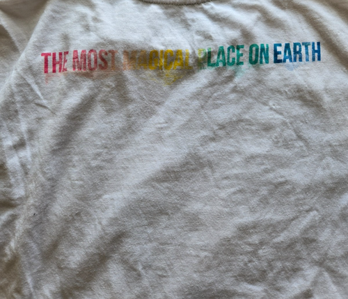 Disney - Short Sleeve - Walt Disney World - Rainbow Logo - Size L - T Shirt - Picture 4 of 5