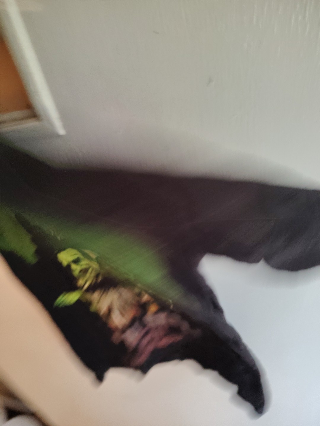 Bild 7 von 8