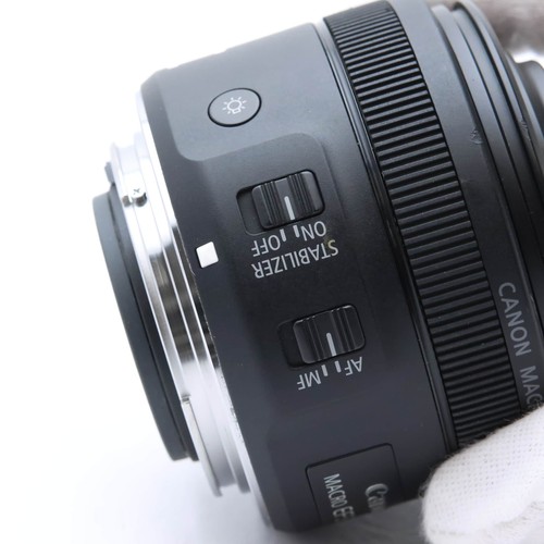 Canon EF-S 35mm F/2.8 Macro IS STM #81 - Picture 12 of 12