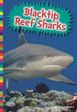 Blacktip Reef Sharks by Allan Morey (English) Paperback Book