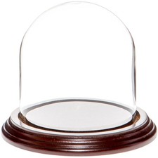 Plymor 4" x 4" Glass Display Dome Cloche Dark Mahogany Veneer Base 