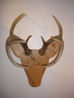 Rackheads Deer Buck Antler mounting plaque kit. Works w/ sheds. Moose & Elk avai
