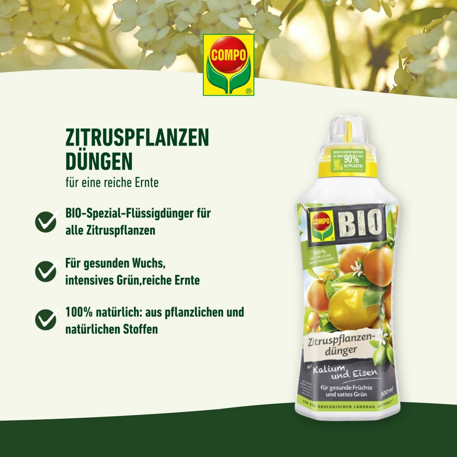 Bild 7 von 9
