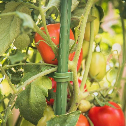 LEBOO 3-Pack(48inch) Vegetable Trellis Tomato Cages Plant Supports, Adjustable G - Picture 5 of 7