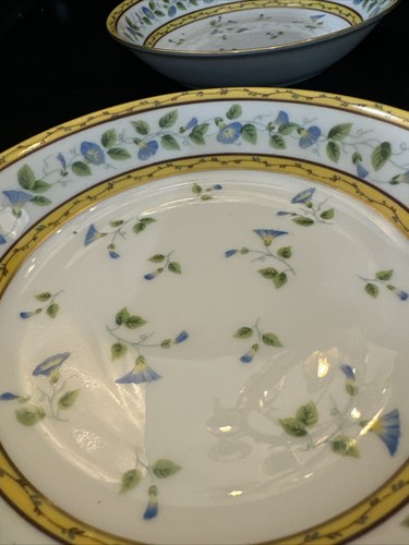 ceralene raynaud limoges morning glory Spray Set Of 4 Coupe Soup Bowls 7 3/4 In - Picture 6 of 12