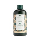 The Body Shop Dry Hair Shampoos