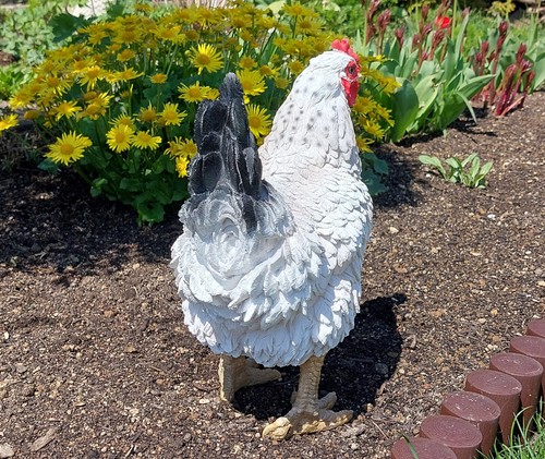 Muwse Deko 1 x Henne weiß 28x17x36cm Huhn Hahn Figuren Garten Dekofigur Skulptur - Bild 5 von 6