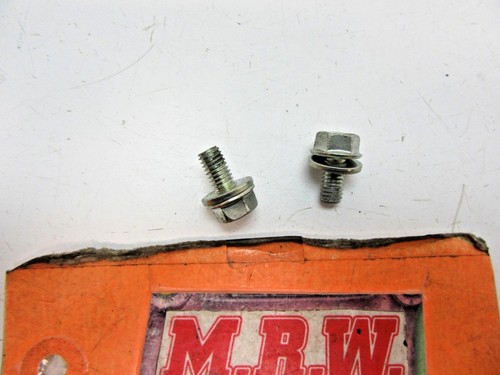 2 BOLTS BOLT DOOR GLASS to WINDOW REGULATOR for 11 12 13 14 15 16 SCION TC tC - Picture 2 of 7