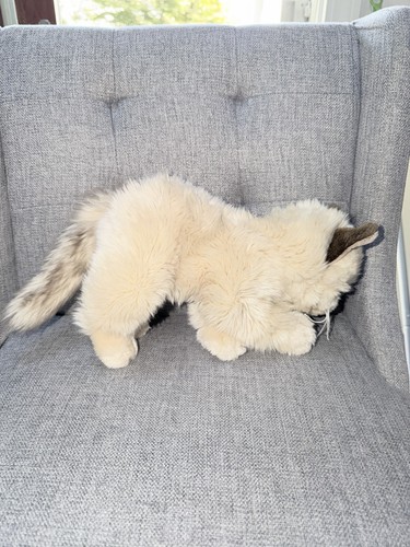 Webkinz Signature Ragdoll Cat WKS1041 No Code Plush Realistic Stuffed Animal Tan - Picture 3 of 6