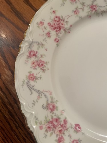 Hutschenreuther Selb Bavaria Pasco Salatteller 7 3/4" 7er Set rosa Rosen - Bild 4 von 8