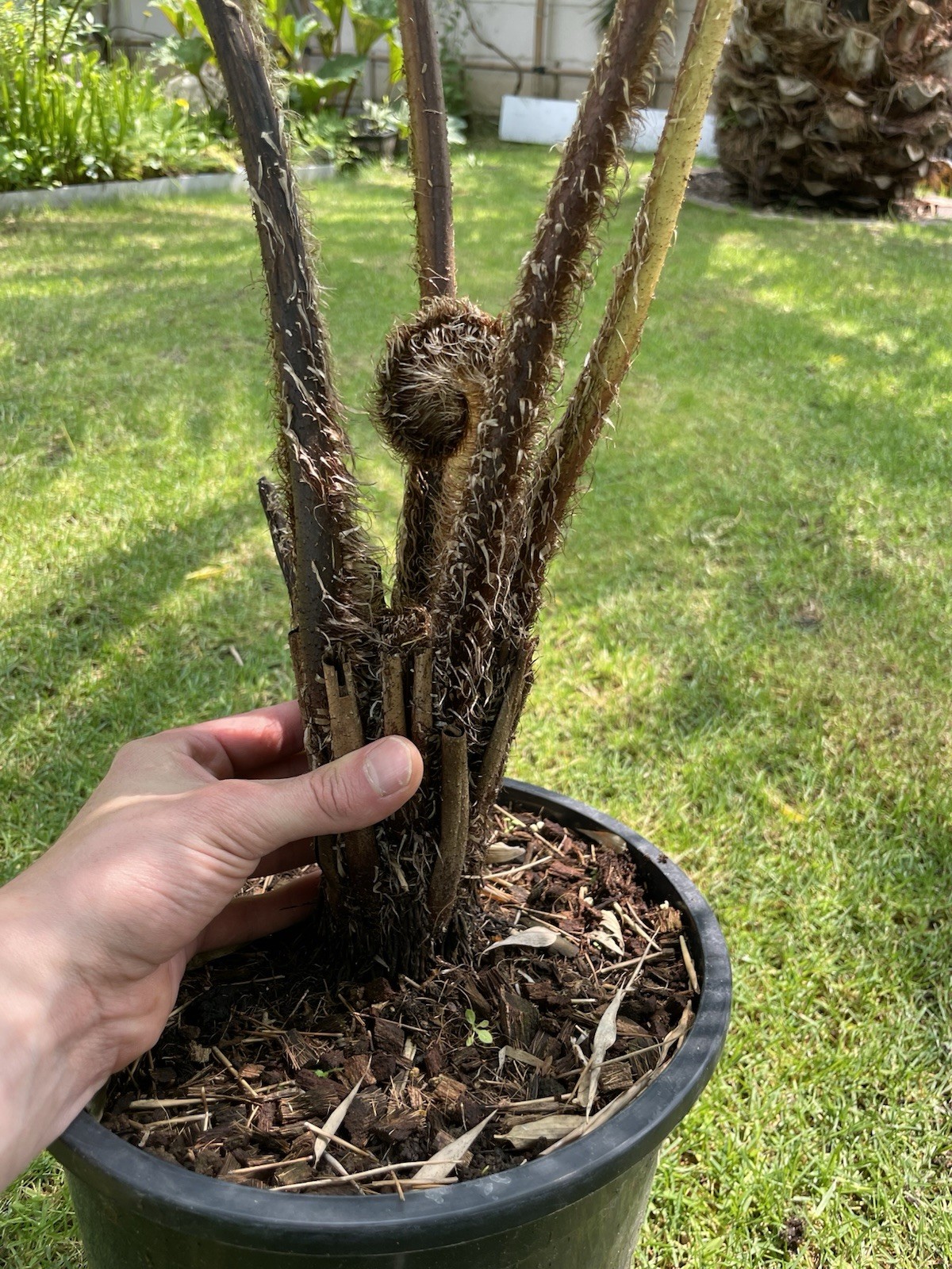 Picture 5 of 5
