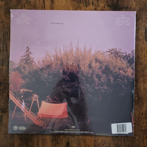 The Backseat Lovers Waiting To Spill Spotify Fans Clear + 7 Inch SEALED! - Picture 2 of 4