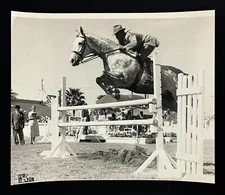 1950s Pomona California Steeplechase Equestrian Horse Jump CA Vintage Photo