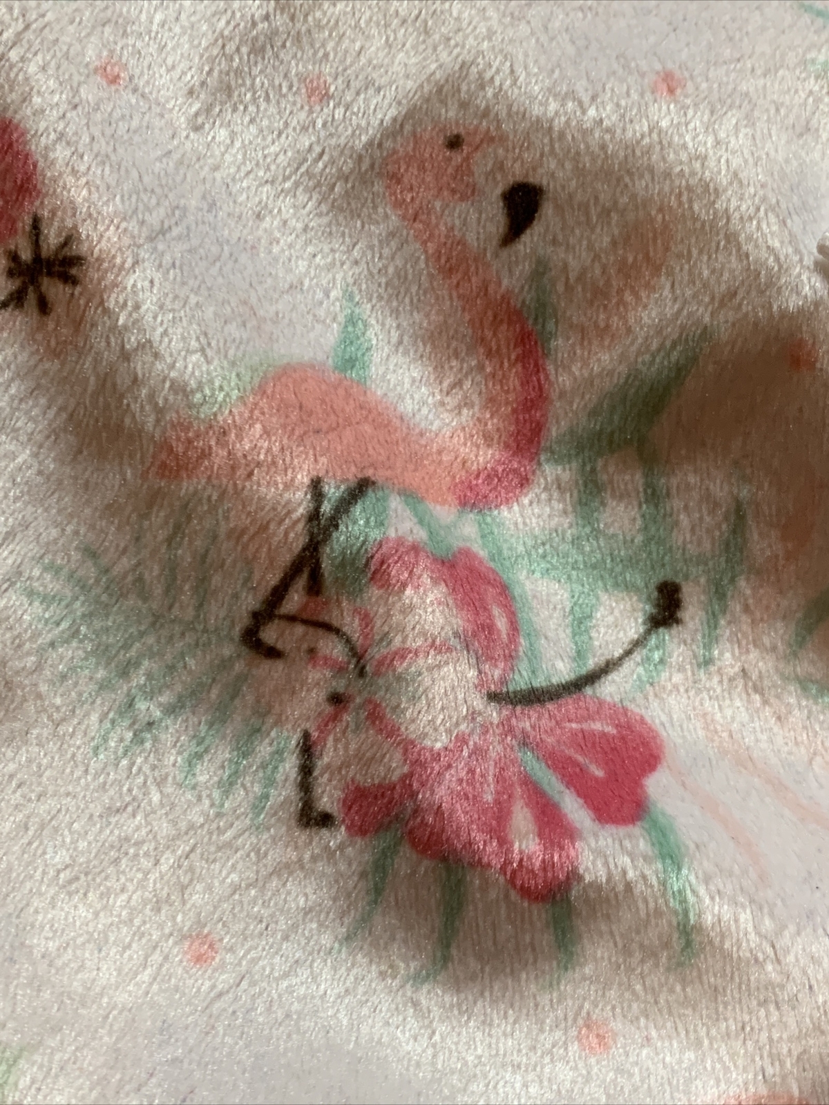 Bild 2 von 5