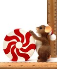 Bild 17 von 22