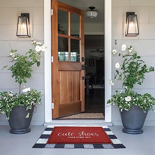 AOAOPQ Door Mat Home Welcome Mats Outdoor and Indoor Assorted Colors , Sizes - Picture 30 of 49
