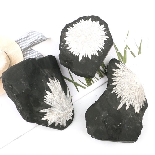 Chrysanthemum Crystal Stone Natural Calcite Crystal Flower Rock Specimen - Picture 13 of 17