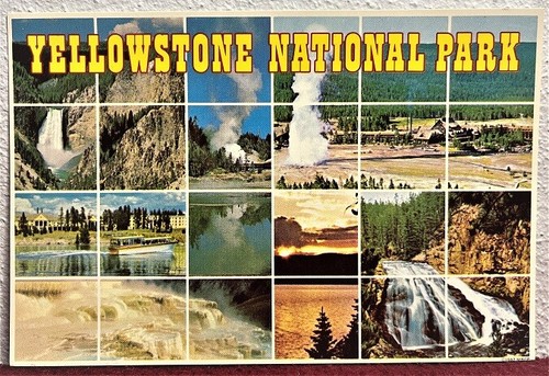 Yellowstone National Park, Wyoming ~ (24) Square - (8) Photo Postcard: FREE SHIP - Picture 3 of 3