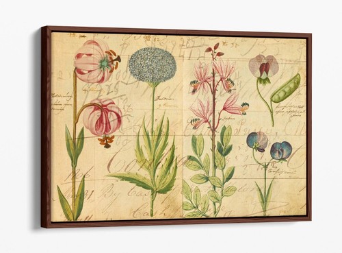 VINTAGE BOTANICAL FLOWER ILLUSTRATIONS DECOR FLOAT EFFECT CANVAS ART PIC PRINT - Picture 2 of 12