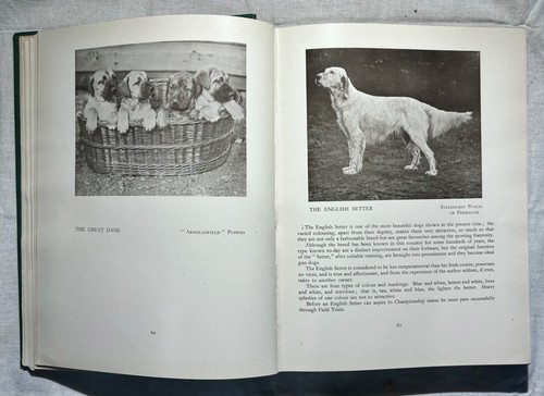 1936 The Book Of Dogs Hardcover Stanley West Hounds Bulldog Terriers Spaniels - Picture 12 of 17