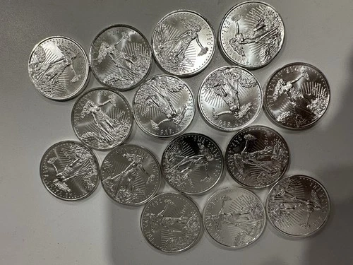 15 ea, 2019 Zombucks The Saint Currency of the Apocalypse 1 oz .999 Silver Rd,