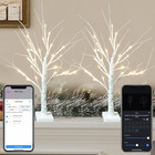 Smart Christmas Decorations Indoor, 2 FT Birch Tree with LED Lights, App Control